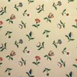 Seme Revolution Canvas Cream Multicolor