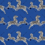 Zebras Petite Denim