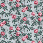 Roses Pompadour 75b