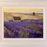 Anthony Bridge, Cotswold Lavender