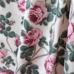 Roses Pompadour 75a