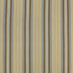 Maria Stripe