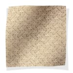 Vicenza Putty Bisque