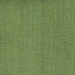 Wild Canvas Pistachio