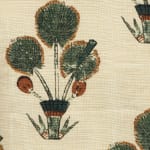 Mughal Gardens Melon and Turmeric