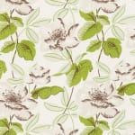 Magnolia Green Brown On Oyster