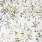 Magnolia Charteuse