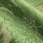 Hermitage Cactus Moss