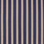 Lagoon Stripe Indigo Ecru