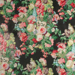 Anne Dorothea Black