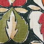 Heart Of Oak Evergreen