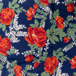Russian Roller Print