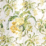 Les Orchidees Lime White