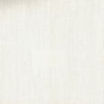 Wild Canvas Snow