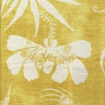 Mughal Gardens Melon and Turmeric