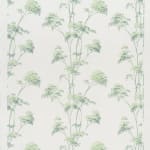 Meadowsweet Greens On Oyster