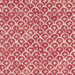 Zeimoto Rasberry