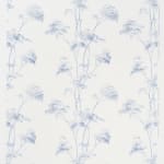 Meadowsweet Blues On Oyster