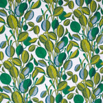 Calathea Chartreuse