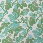 Fig Aqua