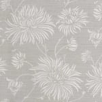 Chrysanthemum Dark Blue On Oyster