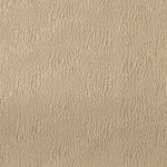 Ecume Silk Faux Plain Champagne
