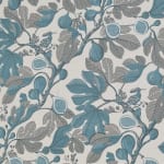 Fig Dove