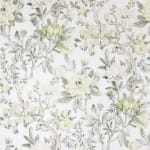 Magnolia Charteuse