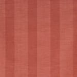 Wide Stripe Red On Beige