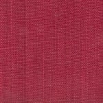 Wild Canvas Raspberry