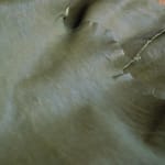 Natural Maroc Olive