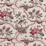 Comtesse De Mailly Multicolore
