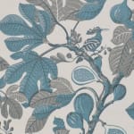 Fig Dove