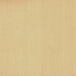 Wild Canvas Wheat