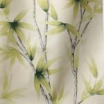 Bamboo Kiwi
