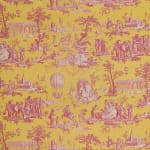 Gonesse Balloon Canvas Lemon Fuschia
