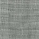 Wild Canvas Pewter