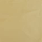 Pale Gold Taffetas Silk