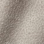 Brise Fossil