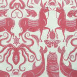 Birds and Beasts Morello