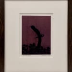 Tom Hammick Night Heron Framed