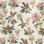 Rhododendron Sprig Pink Green