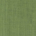 Wild Canvas Pistachio