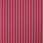Lenora Stripe