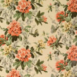 Gwynneth Apricot