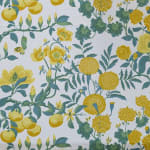 Margo Lemon