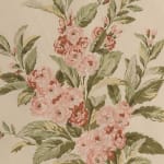 Georgia Ivory Apricot