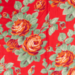 Russian Roller Print