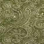 Kargil Velvet Light Green