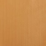 Apricot Monotones SFJ Silk